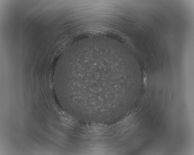 X0000062640819200512211201