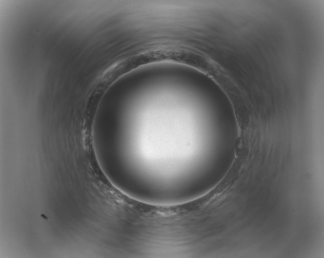 X0000062640822200512211201