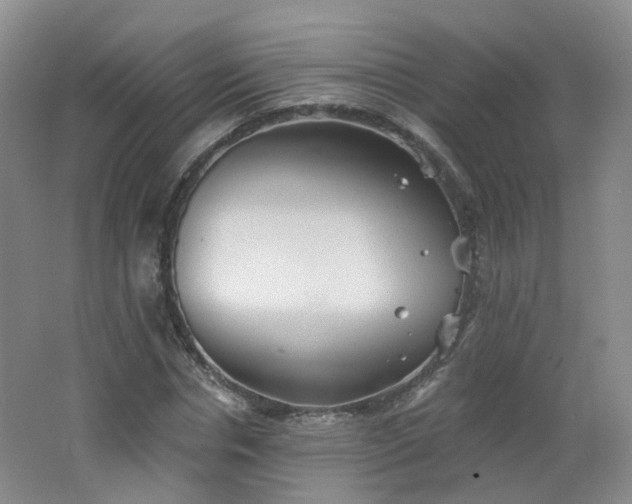 X0000062640826200512211201