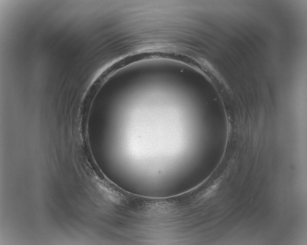 X0000062640830200512211202