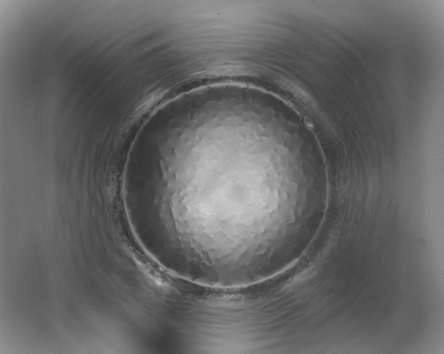 X0000062640833200512211202