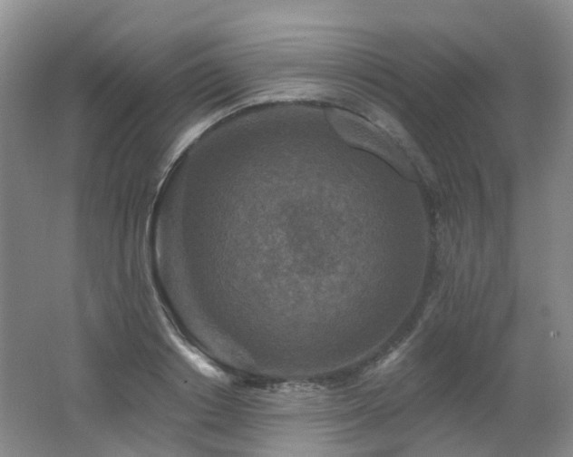X0000062640842200512211202
