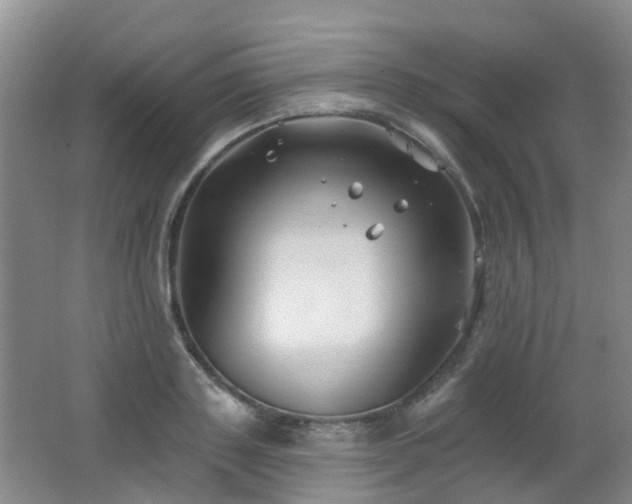 X0000062640843200512211202