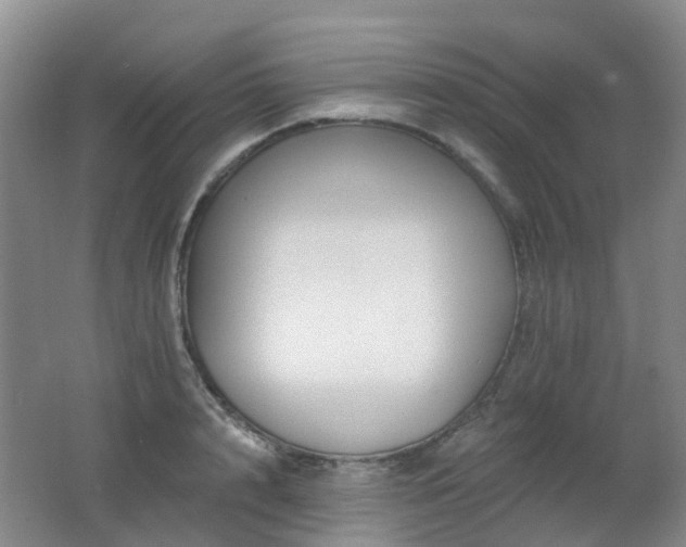 X0000062640848200512211202