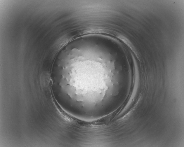 X0000062640849200512211202