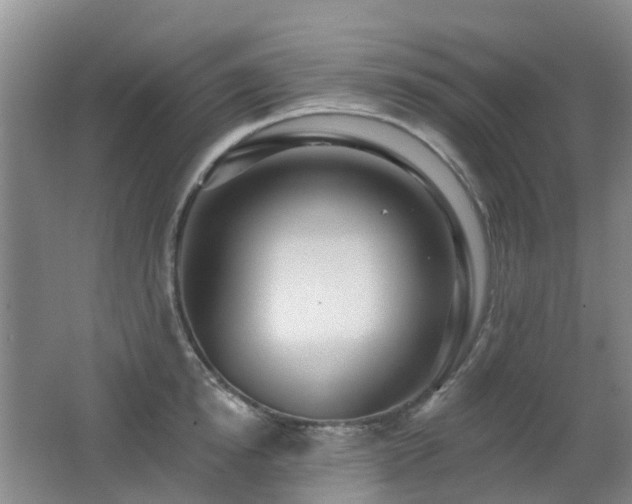 X0000062640854200512211202