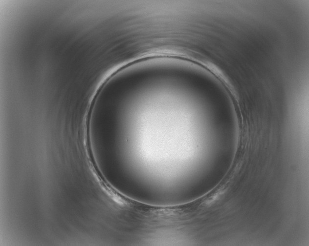 X0000062640862200512211202