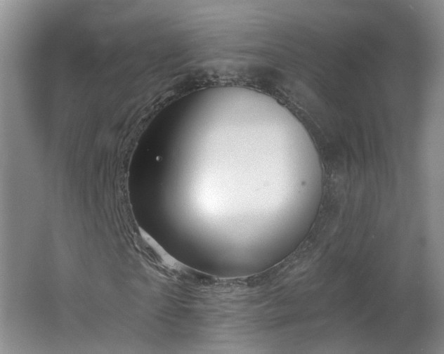 X0000062640865200512211201
