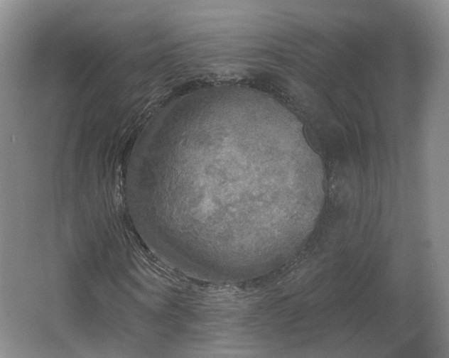 X0000062640866200512211201