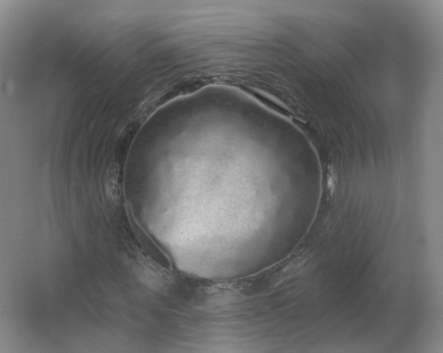 X0000062640867200512211201