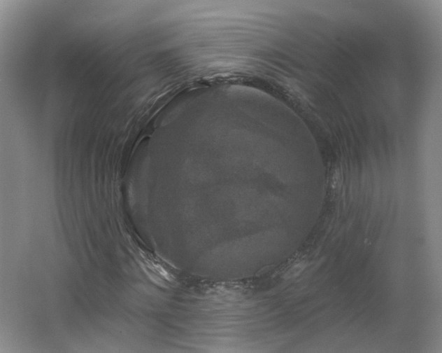 X0000062640868200512211201