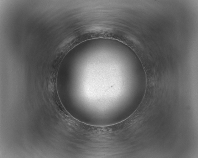 X0000062640869200512211201