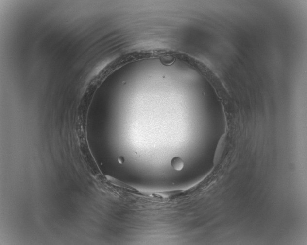 X0000062640871200512211201