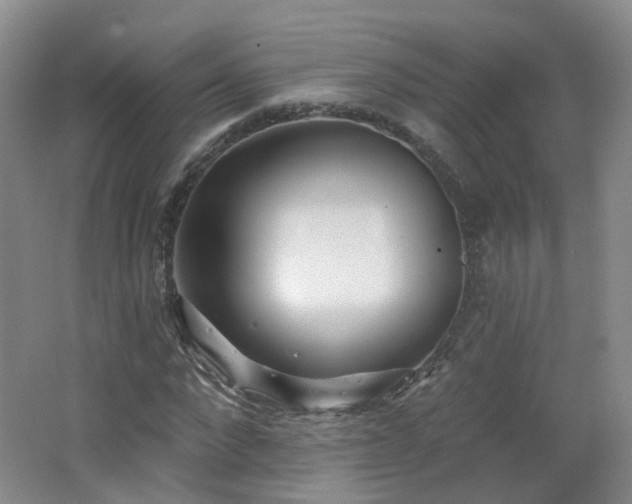 X0000062640872200512211201