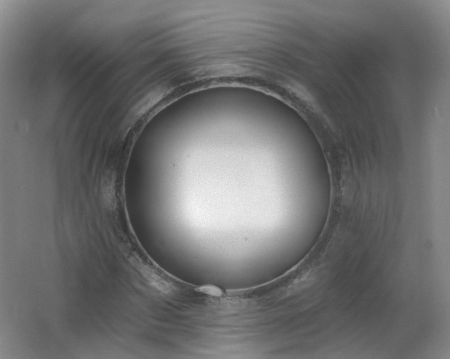 X0000062640873200512211201