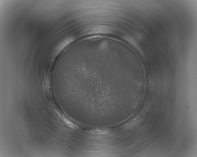 X0000062640874200512211201