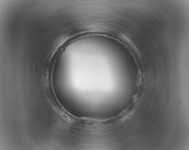 X0000062640875200512211201
