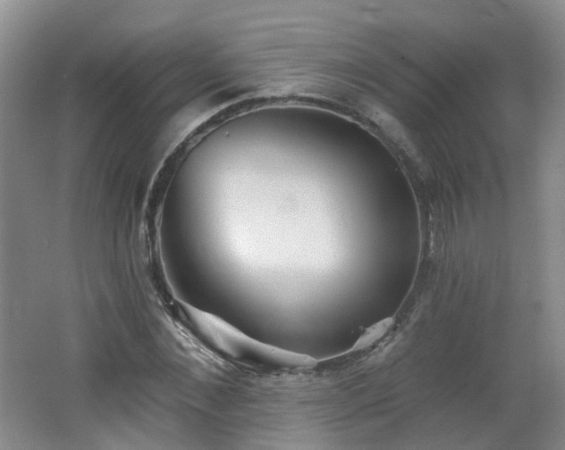 X0000062640876200512211201