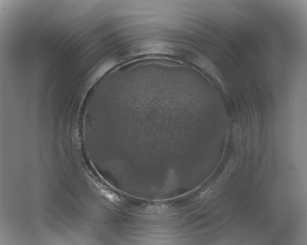 X0000062640882200512211201