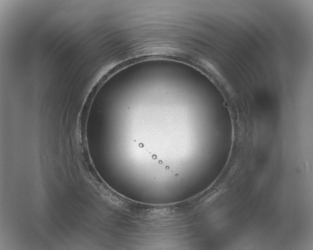 X0000062640883200512211201