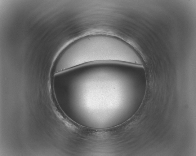 X0000062640888200512211201