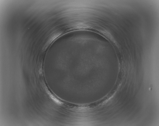 X0000062640889200512211201