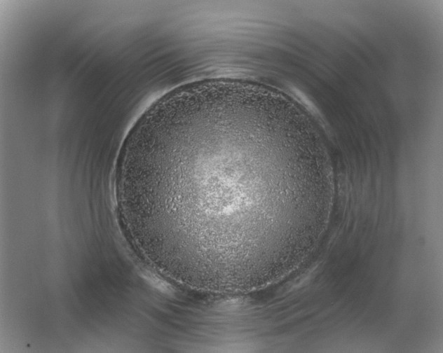 X0000062640891200512211201