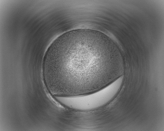 X0000062640896200512211201
