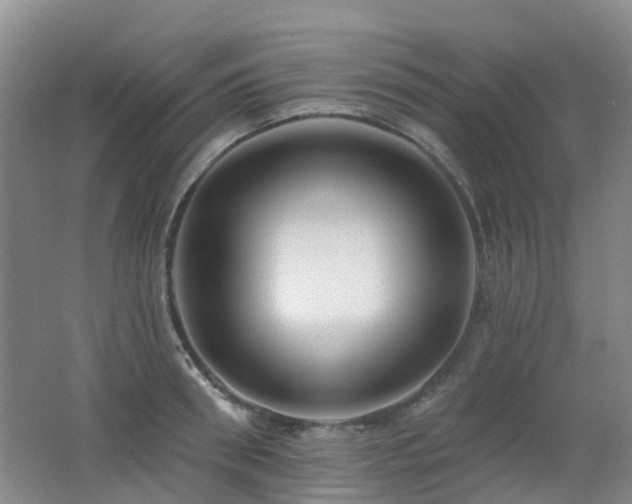 X0000062640898200512211201