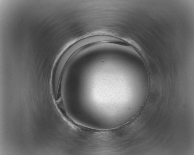 X0000062640902200512211201