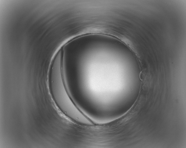 X0000062640904200512211201