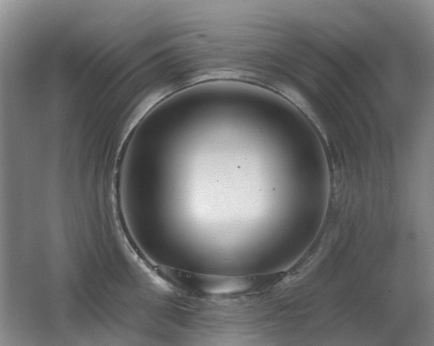 X0000062640906200512211201