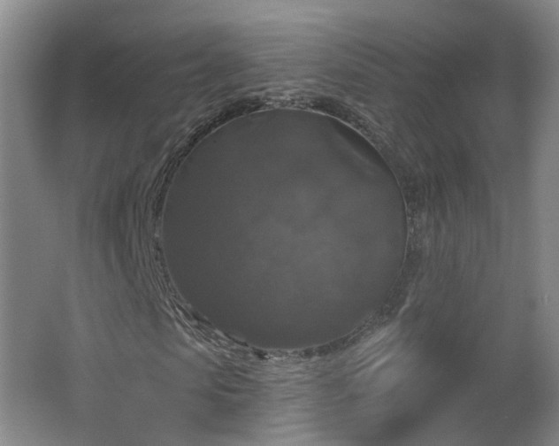 X0000062640913200512211200