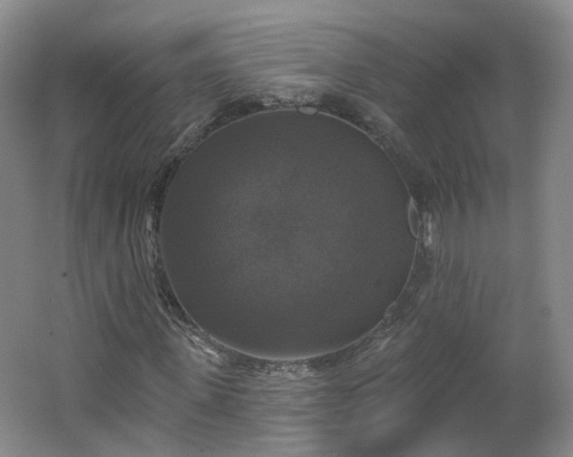 X0000062640915200512211200