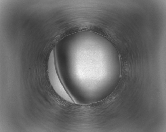 X0000062640916200512211200