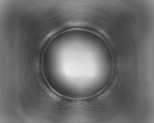 X0000062640922200512211200
