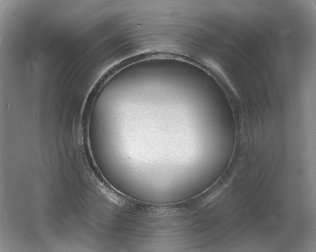 X0000062640924200512211200