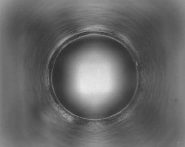 X0000062640931200512211200