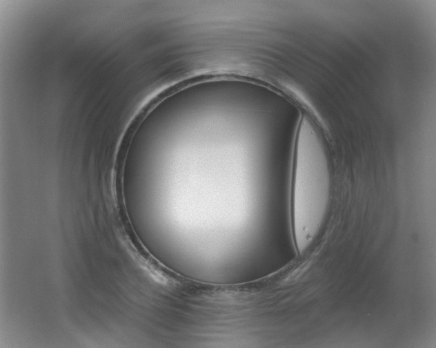 X0000062640932200512211200