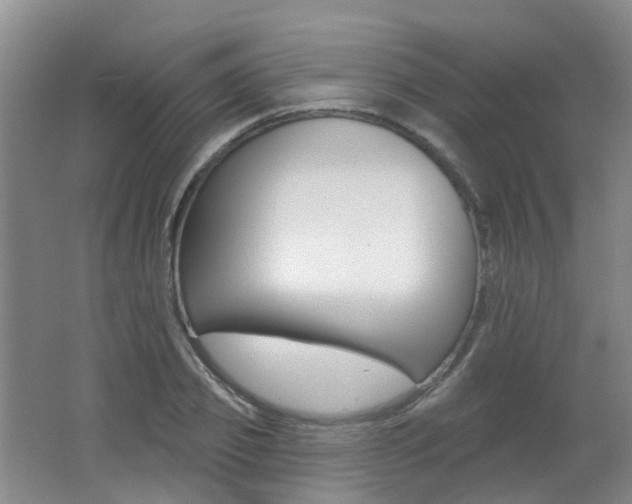 X0000062640933200512211200