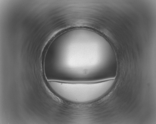 X0000062640934200512211200