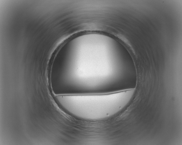 X0000062640935200512211200