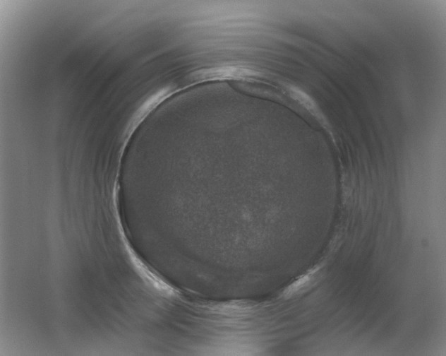 X0000062640946200512211200