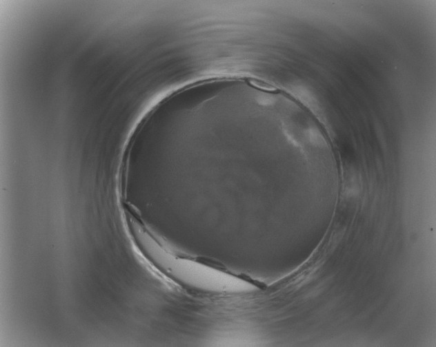 X0000062640958200512211200