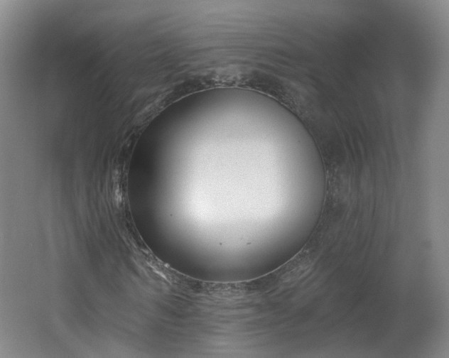 X0000062640962200512211200