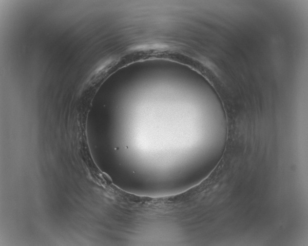 X0000062640967200512211159