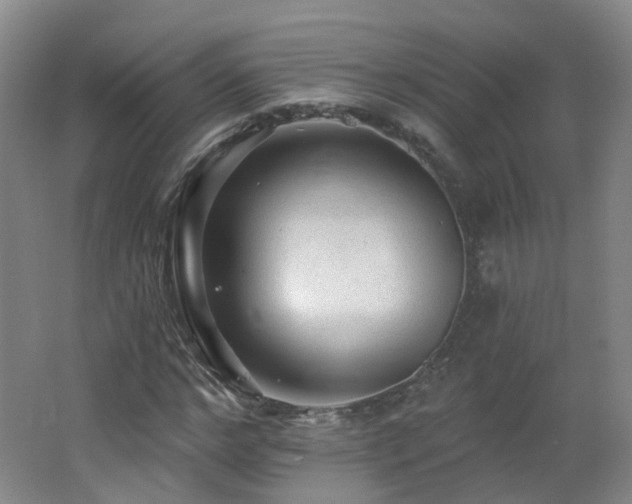 X0000062640968200512211159