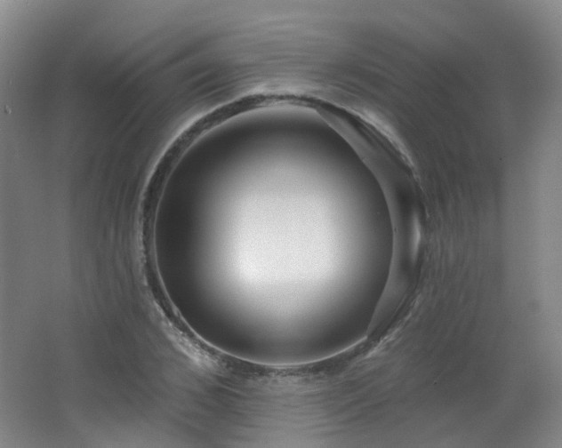 X0000062640976200512211159