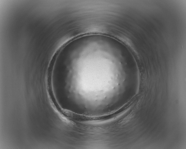 X0000062640991200512211159