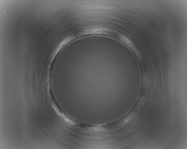 X0000062640994200512211159